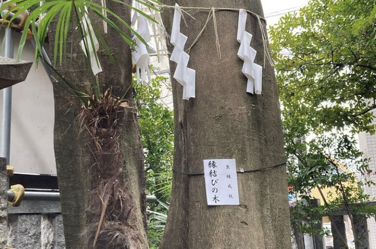 縁結びの木